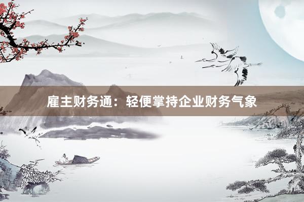 雇主财务通：轻便掌持企业财务气象
